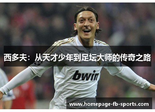 西多夫:从天才少年到足坛大师的传奇之路 西多夫:从天才少年到足坛大师的传奇之路
