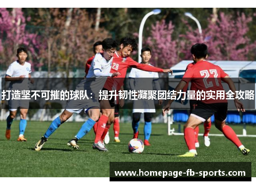 打造坚不可摧的球队:提升韧性凝聚团结力量的实用全攻略 打造坚不可摧的球队:提升韧性凝聚团结力量的实用全攻略