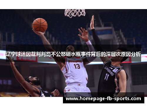 辽宁球迷因裁判判罚不公怒砸水瓶事件背后的深层次原因分析