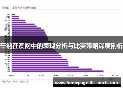 辛纳在澳网中的表现分析与比赛策略深度剖析 辛纳在澳网中的表现分析与比赛策略深度剖析