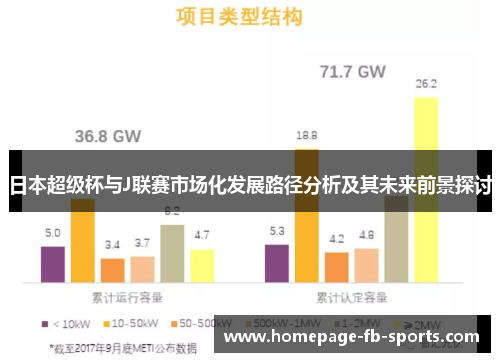 日本超级杯与J联赛市场化发展路径分析及其未来前景探讨