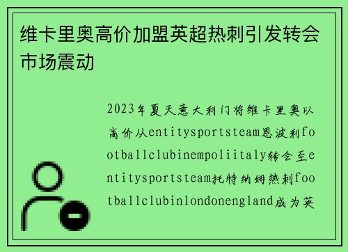 维卡里奥高价加盟英超热刺引发转会市场震动 维卡里奥高价加盟英超热刺引发转会市场震动